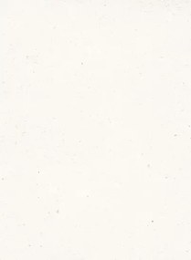 Terrastone Rustique floor - 15kg - 36 - bianco di carrara - 15 kg