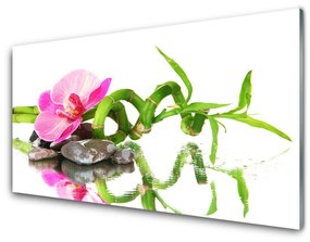 Quadro su vetro acrilico Pietre di fiori di bambù Art 100x50 cm