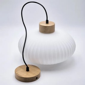 Lampadario a sospensione con filo HARMONY 1xE27/15W/230V diametro 30 cm bianco/quercia