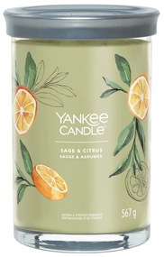 Sage e Citrus, candela barattolo grande Yankee Candle