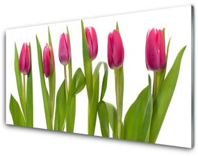 Pannello rivestimento parete cucina Tulipani, fiori, piante 100x50 cm