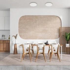 Plafoniera LED dimmerabile ALLISTER LED/36W/230V 3000-6000K + tc