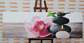 Stampa su tela – Natura morta armoniosa