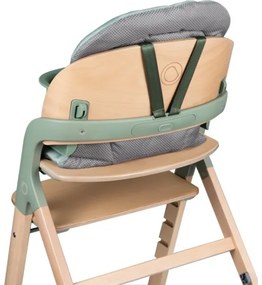 Lionelo - Seggiolone da pappa 3 in 1 MEGAN Legno Verde