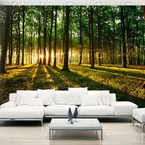 Fotomurale  Mystical Morning  Colore Marrone, Dimensioni e Misure 100x70