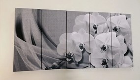 Quadri 5 pezzi – Orchidea su tela in bianco e nero