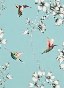 Kolibri Tapete Amazilia von Harlequin - Sky
