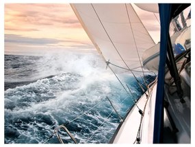 Fotomurale Sailing