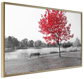 Poster  Autumn Colours I  Cornice Quadri Cornice d'oro, Larghezza x Altezza Home decor 45x30