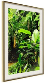 Poster  In the Rainforest  Cornice Quadri Cornice d'oro con passe-partout, Larghezza x Altezza Home decor 20x30