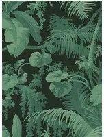 House of Hackney Carta da parati Pampas - Noir