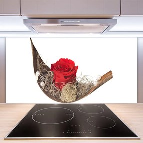 Pannello cucina paraschizzi Natura della pianta del fiore della rosa 100x50 cm