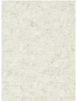Clarke & Clarke Carta da parati Impression - Stone