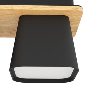 Eglo 390007 - Plafoniera RUSCIO 2xE27/40W/230V nero/marrone