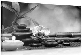 Stampa su tela – Armonia Feng Shui in bianco e nero