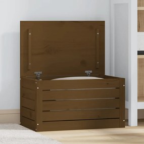 Contenitore Portaoggetti Ambra 59,5x36,5x33cm Massello Di Pino /