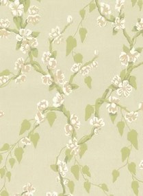 Little Greene Carta da parati Sakura - Pomme