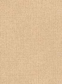 Arte International Carta da parati Nongo - Sand