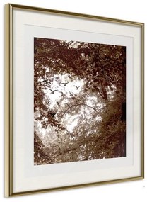 Poster  In the Shade of Trees  Cornice Quadri Cornice d'oro con passe-partout, Larghezza x Altezza Home decor 20x20