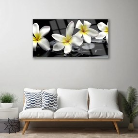 Quadro acrilico Bellissimo fiore di Plumeria 100x50 cm