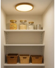 Plafoniera LED/18W/230V 3000/4000/6500K Ø 23 cm beige