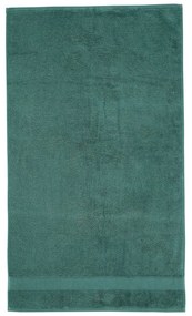 Asciugamano tipo terry verde scuro in cotone 70x120 cm Anti-Bacterial – Catherine Lansfield