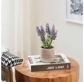 Eglo 428031 - Pianta artificiale CHITOSE 22x8 cm in vaso lavanda