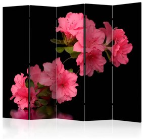 Paravento  Azalea in Black II [Room Dividers]  Colore Rosa, Dimensioni e Misure 225x172