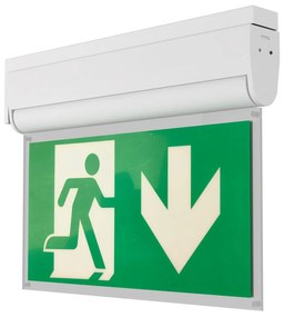 Lampada Emergenza Attacco Laterale 3h S.E S.A Cinema Mode - Bianca o Nera Colore Bianco Freddo 6.000K