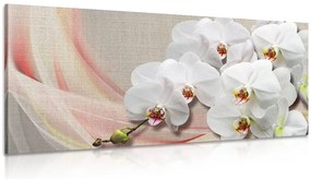Quadro su tela – Orchidea bianca su tela