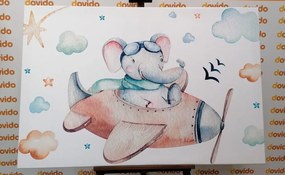 Quadro su tela – Elefantino in aeroplano