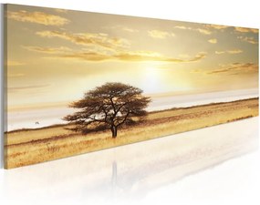 Quadro Lonely tree on savannah  Colore Crema, Dimensioni e Misure 120x40