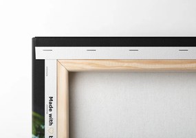 Stampa su tela – Cubetti di ghiaccio alla frutta