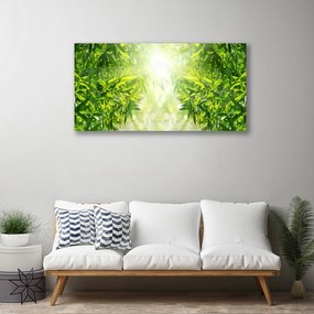 Quadro su tela Foglie di piante naturali 100x50 cm