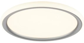 Brilliant - Plafoniera LED dimmerabile CARLOZ LED/16W/230V Ø 30 cm bianco