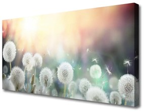 Quadro su tela Fiori di tarassaco Natura 100x50 cm