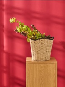 Sinsay - Cesto intrecciato per la conservazione - beige