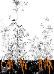 Edmond Petit Carta da parati Lièvres/Fenouil/Tournesol - Noir Orange - Tournesol Gauche - Noir Orange Doré