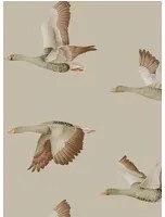 Sanderson Carta da parati Elysian Geese - Briarwood