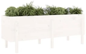 Fioriera Rialzata da Giardino Bianca 160x50x57 cm Massello Pino