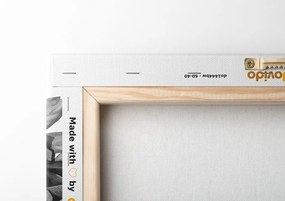 Stampa su tela – Incantevole combinazione di fiori e foglie in bianco e nero
