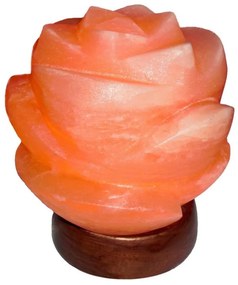 Rabalux 2676 - Lampada al sale FLORES 1xE14/15W/230V