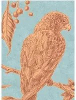 Lewis & Wood Carta da parati Squawk - Jaffa