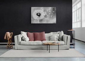 Quadro su tela – Soffione magico in bianco e nero