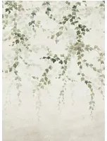 Coordonne Carta da parati panoramica Vine Shadow - Green