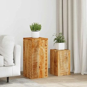 Supporti Per Piante 2 Pz İn Legno Massello Di Mango /