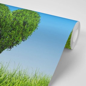 Carta da parati autoadesiva – Albero a forma di cuore