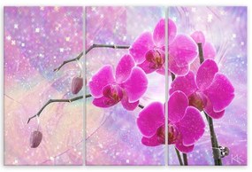 Quadro su tela 3 pannelli, Astrazione orchidea essenziale