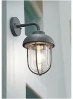 Applique da Ingresso Duero Antracite Lanterna Vetro Trio Lighting