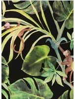 Clarke & Clarke Carta da parati Monkey Business - Ebony